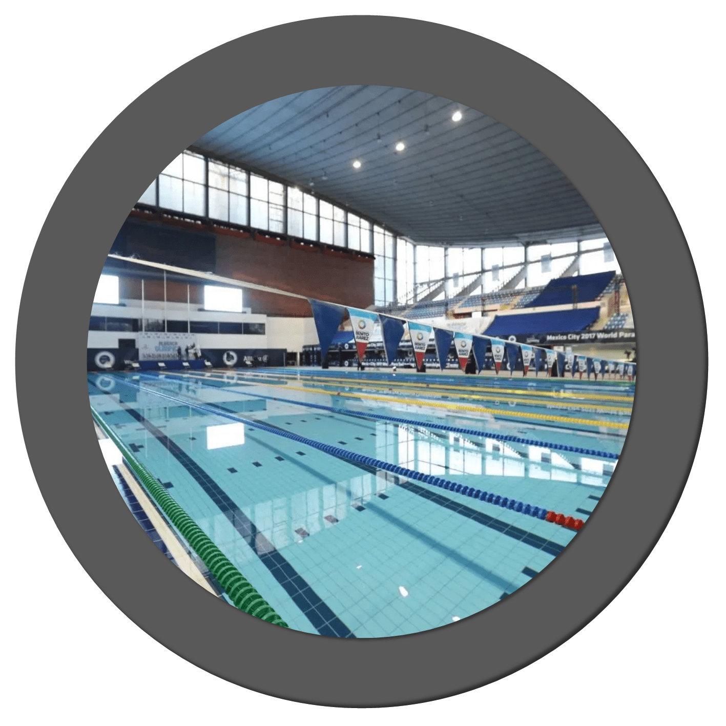 ALBERCA OLÍMPICA TEPALCATE-min